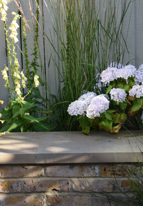 Hydrangea, Calamagrostis & foxgloves